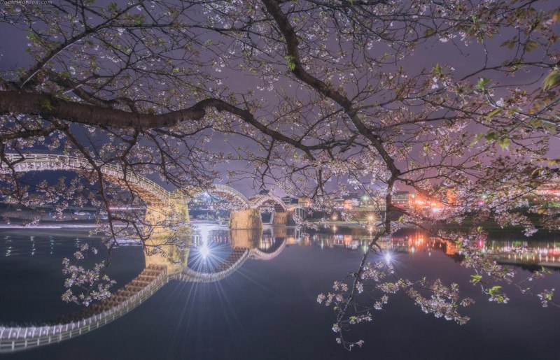 туры в Японию на цветение сакуры 2016