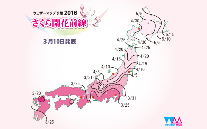Туры в Японию 2016 цветение Сакуры