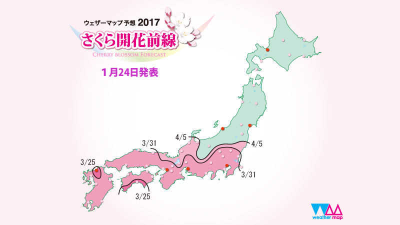 Туры в Японию на цветение сакуры