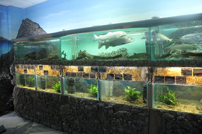 Музей Рыбы Амура