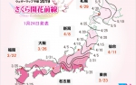 Цветение сакуры в Японии в 2019 году